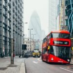 Everything You Wanted to Know About mega city\’s